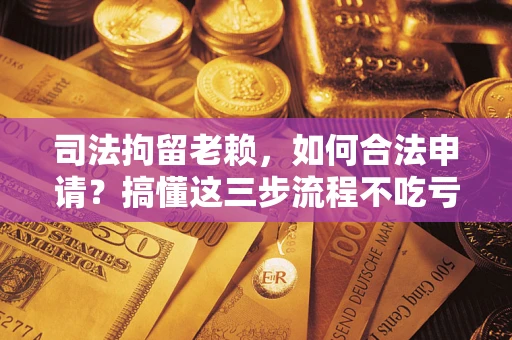 北京司法拘留老赖，如何合法申请？搞懂这三步流程不吃亏！