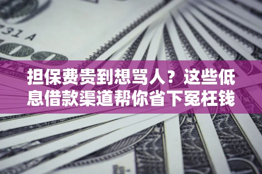 北京担保费贵到想骂人？这些低息借款渠道帮你省下冤枉钱